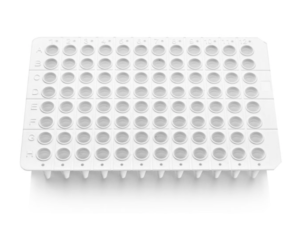 o,2 Ml PCR Plate