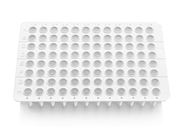 o,2 Ml PCR Plate