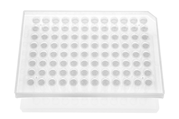 PCR PLATE 96